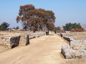 3. Jivaka Kumarabhacca 2